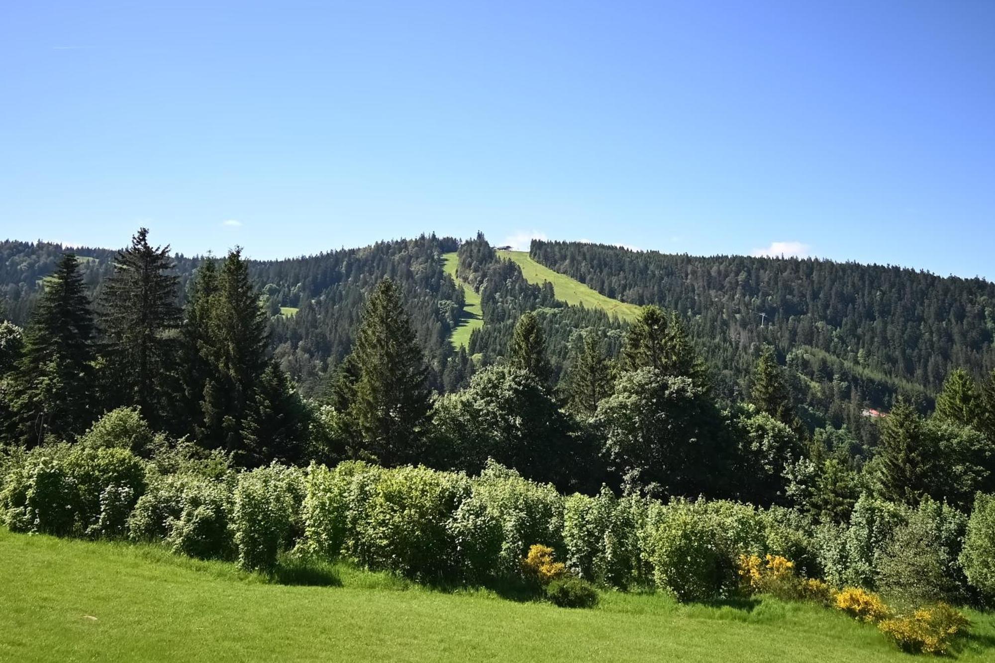 Le Nid Des Vosges - Appt Vue Montagne Apartment Gérardmer Exterior photo